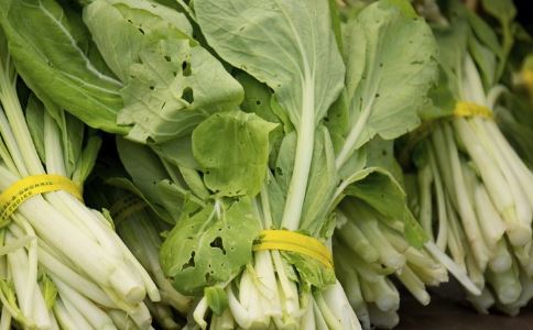 多吃油菜薹为什么能助孕 油菜薹有哪些食用宜忌 油菜薹怎么做好吃
