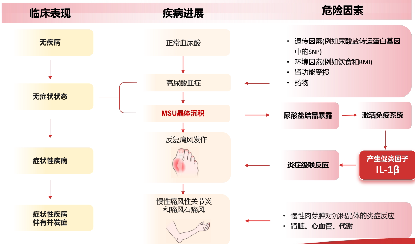 2026新指南如何界