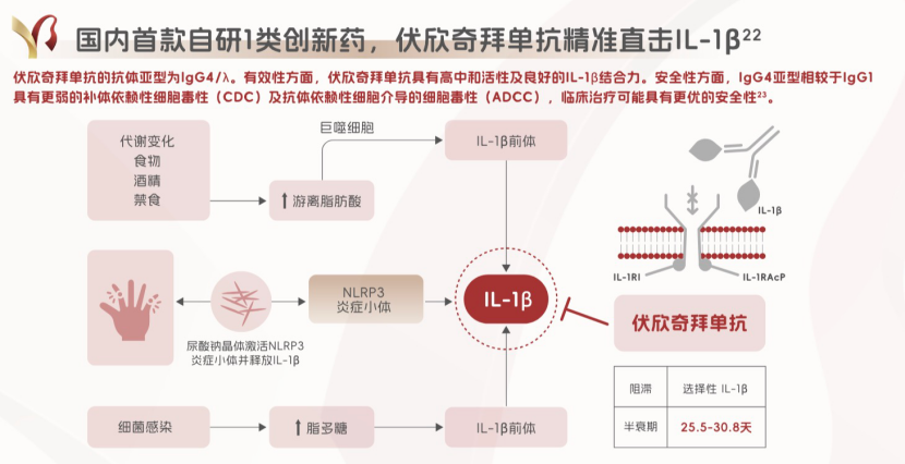 难治性痛风融晶痛