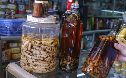 喝药酒有什么好处 喝药酒的好处有哪些 喝药酒可以养生吗