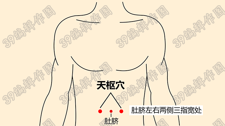 天枢穴