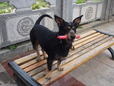 QQ截图20160517115959.jpg